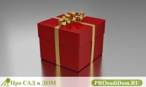 Договор дарения квартиры между близкими родственниками